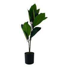PLANTA COM VASO 10X10X59CM - 592-370696