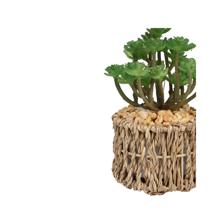 Jarra de suculentas com pote de 1 peça - 592-370809