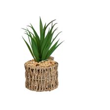 Jarra de suculentas com pote de 1 peça - 592-370809