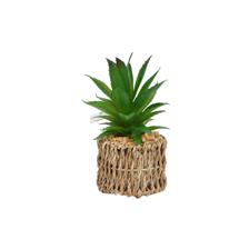 Jarra de suculentas com pote de 1 peça - 592-370809