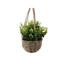 PLANTS IN BASKET - 592-370810