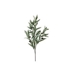 Rama de Olivo 25X25X90CM - 592-370811