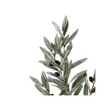 Rama de Olivo 25X25X90CM - 592-370811