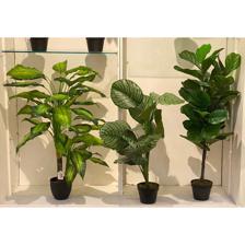 PLANTA C/VASO 120CM - 592-400034