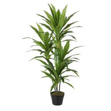 PLANTA ART. C/POTE 120X60X120C - 592-400043
