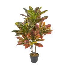 POTTED 90CM CROTON - 592-400049