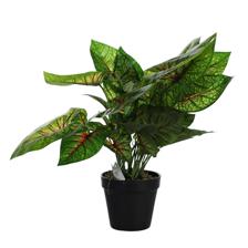 PLANTA COM VASO 45X30X45CM - 592-400080