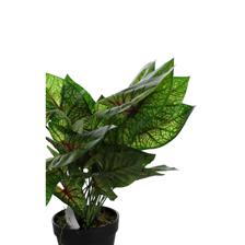 PLANTA COM VASO 45X30X45CM - 592-400080