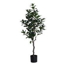 PLANTA COM VASO 70X120X120CM - 592-400204