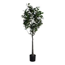 PLANTA CON POTE - 592-400206