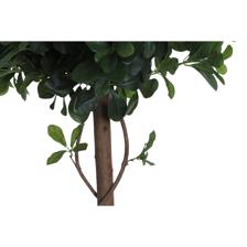 PLANTA COM VASO - 592-400210