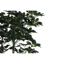 PLANTA CON POTE 80X150X150CM - 592-400211