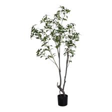 PLANTA COM VASO 70X150X150CM - 592-400219