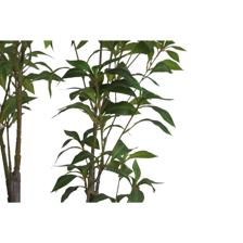PLANTA COM VASO 70X150X150CM - 592-400219