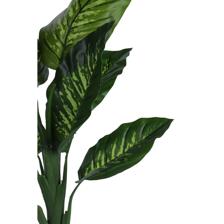 PLANTA CON POTE - 592-400237