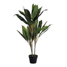 PLANTA CON POTE 120X60X120CM - 592-400240