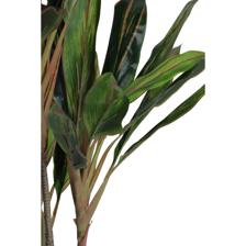 PLANTA CON POTE 120X60X120CM - 592-400240