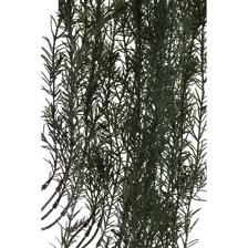 RAMO DECOR  147CM - 592-450035