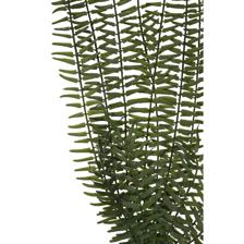 ARTIFICIAL PLANTS - 592-450037