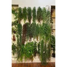 RAMO DECOR 98X12CM - 592-450054