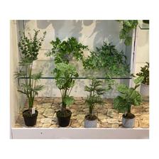 artificial plants - 592-450086