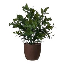 PLANTA COM VASO 10X30CM - 592-450109