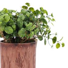PLANTA DE HORTELÃ ARTIFICIAL COM - 592-450133