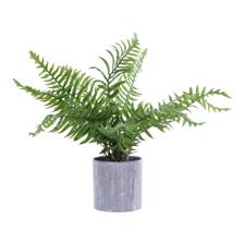 FERM PLANT - 592-450137