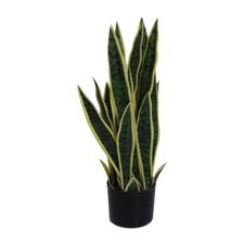 PLANTA COM VASO 60X36X60 CM - 592-460002
