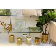 PLANTA C/POTE 120X70X120 CM - 592-460014