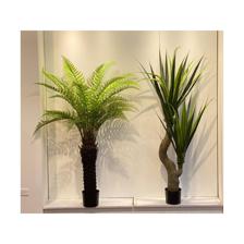 PLANTA C/POTE  H:150CM - 592-460017