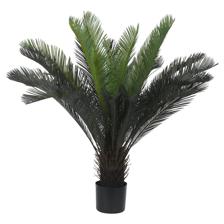 100CM CYCAS W/28 LVS IN POT - 592-460024