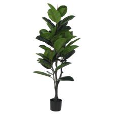 130cm Indin rubber Tree x50Lvsin Pot - 592-460033