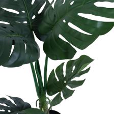 600CM MONSTERA PLANT X6LVS INPOT - 592-460039