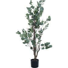 EUCALYPTUS WITH POT 120X70X - 592-460042