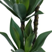 150CM AGAVE PALMX39LVS IN POT - 592-460046