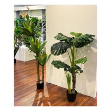 150CM AGAVE PALMX39LVS IN POT - 592-460046