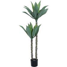 AGAVE C/POTE 120X70X120 - 592-460047