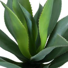 AGAVE WITH POT 120X70X120 - 592-460047