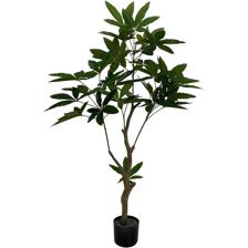 PLANT WITH POT 120X65X120CM - 592-460051