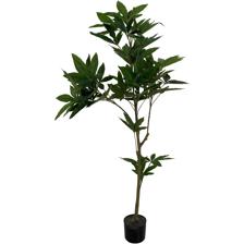 PLANT WITH POT 150X80X150CM - 592-460053