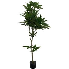 PLANT WITH POT 150X80X150CM - 592-460053