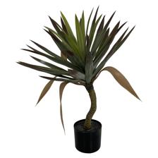 PLANT WITH POT 60X60X60CM - 592-460054