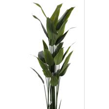 PLANTA C/POTE - 592-460078