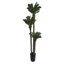150CM POTTED BEAUTY PLANT X52LVS IN POT - 592-460099