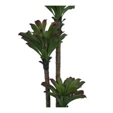 150CM POTTED BEAUTY PLANT X52LVS IN POT - 592-460099