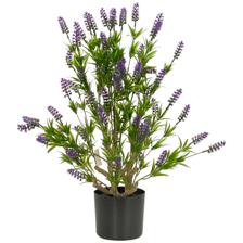 60cm LAVENDER Tree in Pot - 592-460102