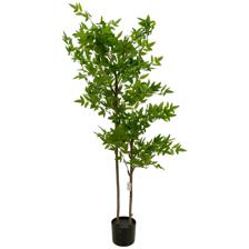 120cm nandina Tree in Pot - 592-460107