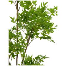 ARBOL-NANDINA C/MACETA 180X100 - 592-460108