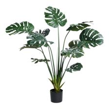 VASO C/ DE EUCALIPTO - 592-460113